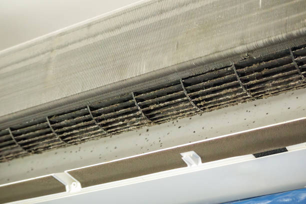 Best Ventilation Cleaning Services  in Camdenton, MO